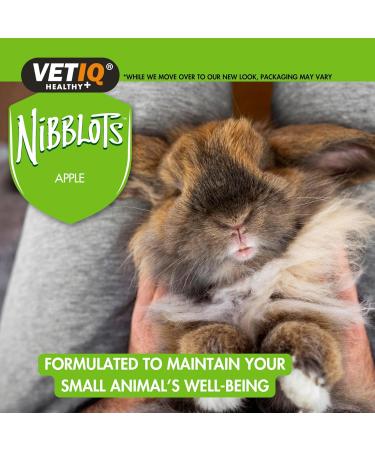 VetIQ Apple Nibblots 8x 30g Tasty Hamster Treats For Your Guinea Pig/s or Hamster/s Guinea Pig Treats with Added Vitamins For Skin & Coat with Rosemary Extract Apple 8PK 30 g (Pack of 8) - Buy Online on GoSupps.com