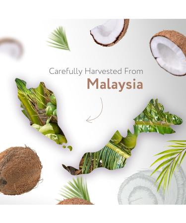 HBNO Jojoba Oil - 16 oz (475ml) Value Size - Ideal for Shampoos Conditioners Massage Blends Face wash Lotions and Skin Care Products (Glass Bottle) - Buy Online on GoSupps.com