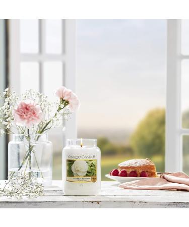 Yankee Candle Camellia Blossom | Garden Hideaway Collection | Large Candle | Up to 150 Hours Burn Time | International Shipping Available - Buy Online on GoSupps.com