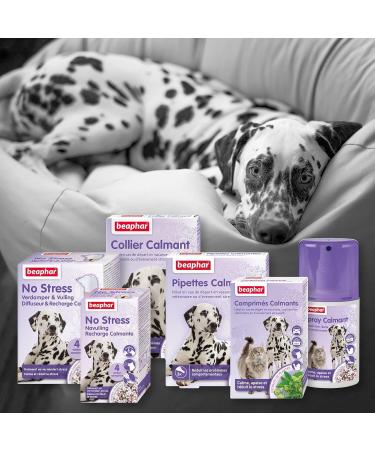 Beaphar NO Stress Calming Electric Diffuser with Valerian for Dogs Reduces Stress & Behavioral Problems without Dependence 4 Weeks of Action 1 Socket + 1 Refill 30 ML - Buy Online on GoSupps.com