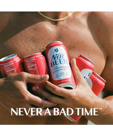 Not Beer American Sparkling Water - Unflavored Mineral & Electrolyte Blend 16 Oz Tallboy Cans 8 Pack - Refreshing Carbonated Soda Water - Buy Online on GoSupps.com