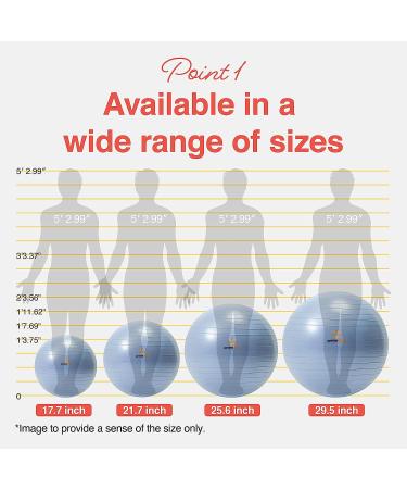 Primasole 25.6 Exercise Ball for Balance Stability | Yoga, Pilates, Fitness | Pale Gray w/ Inflator Pump | Home, Office, Gym - Buy Online on GoSupps.com