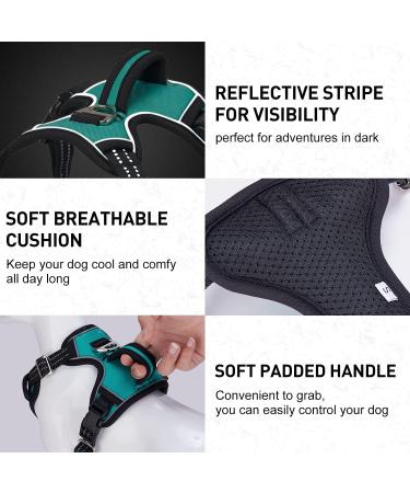 Dociote Anti-Pull Dog Harness for Medium & Large Dogs - Reflective Safety Harness with Handle - Turquoise (1 Pack) - Buy Online on GoSupps.com