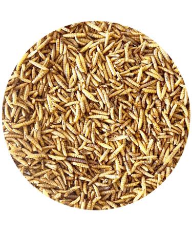 10 kg soldier fly larvae bird food fish food (such as mealworms)
