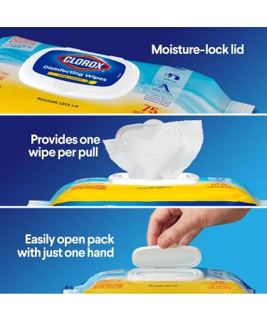 Clorox Disinfecting Wipes Flex Pack - 75 Ct Lemon Scent | Pack of 6 - Ideal for International Shipping - Buy Online on GoSupps.com