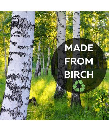 Perfect Stix Green Fork 158-250ct Disposable Wooden Forks (Pack of 250) - Eco-Friendly Plain Wooden Forks (250ct) - Buy Online on GoSupps.com