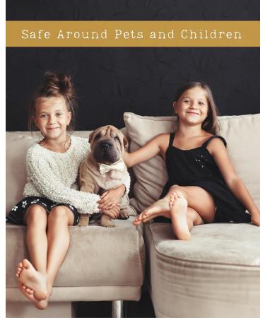 Jasmine Natural Hair & Body Mist Spray Pure Essential and Fragrance Oils Alcohol-Free Handmade in California 0.5Fl Oz Jasmine 0.5 Fl Oz - Buy Online on GoSupps.com