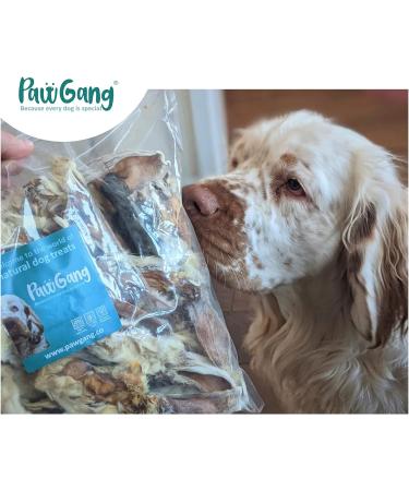 PawGang 100% Natural Rabbit Ears with Fur 500g - Healthy Hypoallergenic Dog Treats - Grain Free and Tasty Chews - EU Sourced - Bulk Bag - Buy Online on GoSupps.com