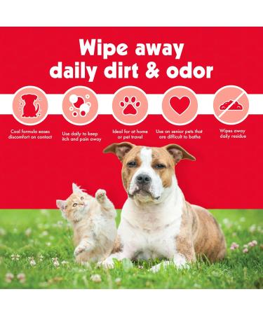 Petkin Anti Itch Wipes for Dogs and Cats - Soothes Hot Spots Skin Irritations and Scratching - Bitter Taste Stops Licking and Chewing - Super Convenient Ideal for Home or Travel - 30 Wipes White 30 count (Pack of 1) - Buy Online on GoSupps.com