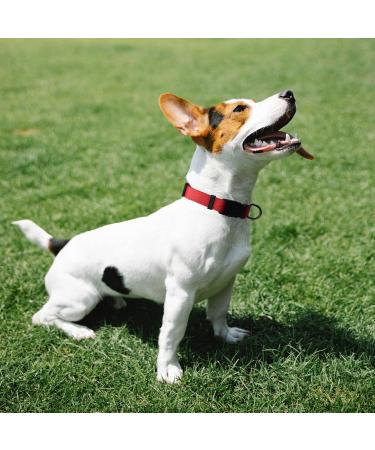 Audwud Thick Nylon Neck Band | Adjustable Classic Dog Collar for All Sizes | Rouge Red | Small Medium Large Dogs - Buy Online on GoSupps.com