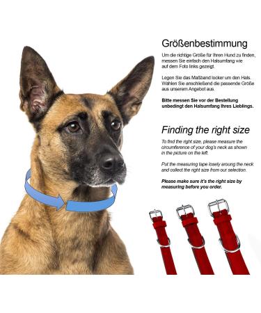 Premium XXL Leather Dog Collar - Padded & Robust Ideal for Large Medium & Small Dogs - Sniffing Fans Design in Red - Buy Online on GoSupps.com