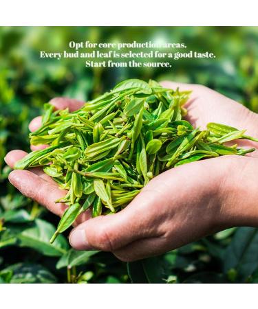 HQZM Osmanthus Oolong Tea High Mountain Strong Fragrance Tea 250g 1763oz Strong Osmanthus Aroma - Buy Online on GoSupps.com