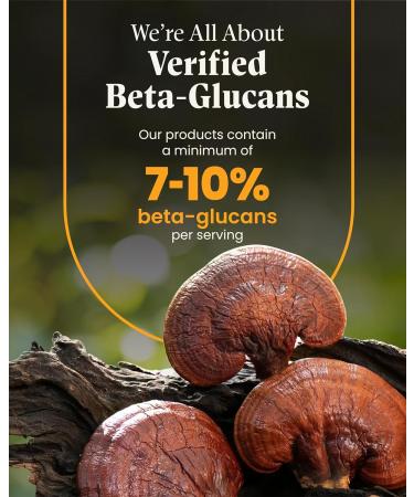 Mushroom Wellness Turkey Tail Blend with Reishi: Organic Turkey Tail & Reishi Mushroom Capsules, Mushroom Powder Supplement, Traditional Immune, Energy & Vitality Support, 90 Vegan Capsules - Buy Online on GoSupps.com
