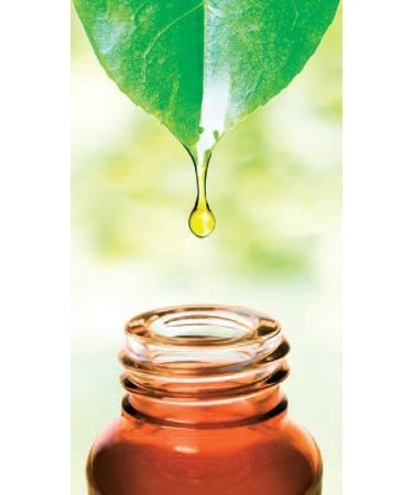 Original Rizes Body Butter | Vegan Moisturizing Lotion with Olive & Argan Oil | Natural Skincare for Hydration - Buy Online on GoSupps.com