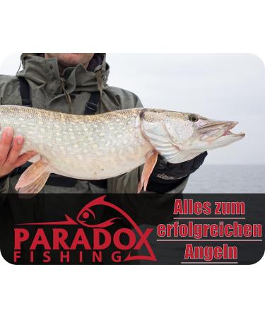 Paradox Fishing Pliers 24.5 cm - Durable Tongue Trimmers & Hook Soldering Tongs for Predator Fishing - Premium Fishing Accessories - Buy Online on GoSupps.com