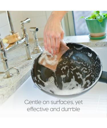 Full Circle Neat Nut Walnut Shell Scouring Pads - Non-Scratch, 3-Pack, Eco-Friendly Cleaning Pads - Buy Online on GoSupps.com