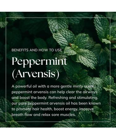 Nikura Peppermint (Arvensis) Essential Oil - 50ml | 100% Pure Natural | Hair Care, Spider Repellent, Energy Boost, Candle Making | Skin Care, Headache Relief | Vegan & UK Made - Buy Online on GoSupps.com