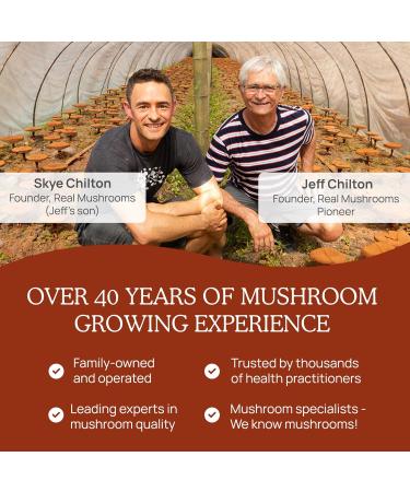 Real Mushrooms Reishi Mushroom Powder - Handpicked Organic Mushroom Extracts - Red Reishi for Tranquil Daily Wellness with Verified Beta Glucans Vegan Non-GMO No Grain Fillers 100 Servings - Buy Online on GoSupps.com