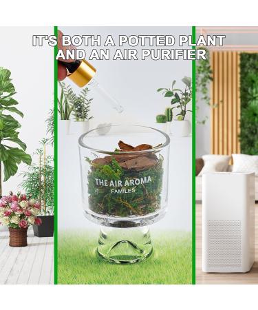 Moss and Pine Essential Oil Diffuser - Long-Lasting Aromatherapy for Home Office & Car - Multiple Scents Available - Buy Online on GoSupps.com