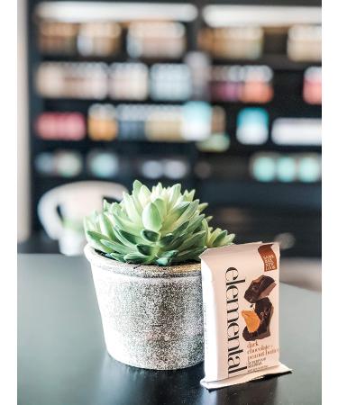 Elemental Superfood Dark Chocolate + Peanut Butter Seedbars - 12 Pack | Non-GMO, Organic, Gluten-Free, Dairy-Free, Plant-Based - Buy Online on GoSupps.com
