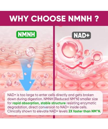 Nextdia 2PACK NAD+ Supplement for Women & Men + 1PACK Red Yeast Rice Gummies 2400MG - Buy Online on GoSupps.com