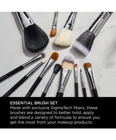 Sigma Essential Brush Kit - 12-Piece Professional Makeup Brush Set - Buy Online on GoSupps.com