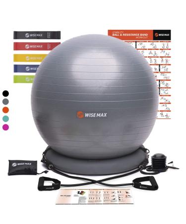 WISEMAX Exercise Ball Chair  Stability Yoga Balance Ball with Ring Base, Resistance Bands & Pump, Loop Bands, Carry Bag, Poster for Home, Office, Posture, Gym Bundle, Home Workout- 65cm Gray