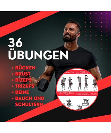 Clean Sports Kurzbang Workout Poster A1 | 6 Full-Body Dumbbell Workouts for Home & Gym Fitness Studio - Buy Online on GoSupps.com
