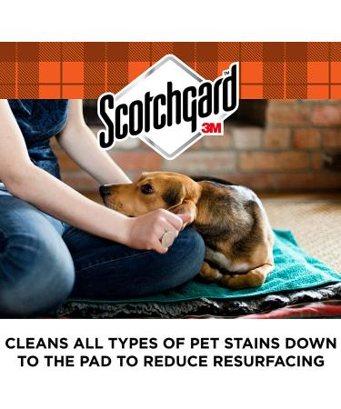 Scotchgard OXY Pet Carpet & Fabric Stain Remover - 26oz | Powerful Spot Treatment - Buy Online on GoSupps.com