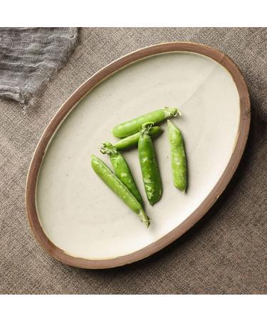 Dinnerware Dishes Plates Fish Plate Ceramic Household Steamed Fish Plate Ceramic Tableware Large Oval Dinner Plate Restaurant Kitchen Retro Flat Plate Dinner Restaurant Family Party Plates (Size : L - Buy Online on GoSupps.com