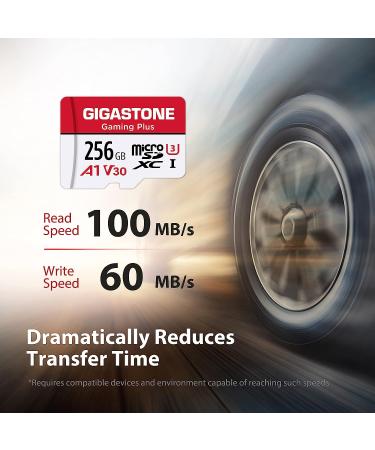 Gigastone 256GB Micro SD Card for Nintendo-Switch, GoPro, Dash Cam - 4K Video, UHS-I A1 U3 V30, up to 100MB/s - Buy Online on GoSupps.com