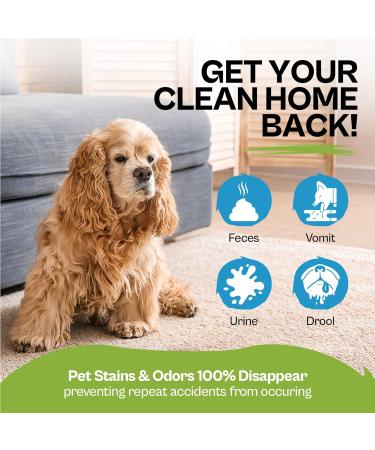 Stain & Odour Remover For Dogs | Enzyme Dog Urine Neutraliser | 500ml - Buy Online on GoSupps.com