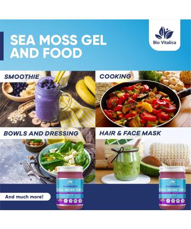 BioVitalica Sea Moss Gel - Raw Organic Irish Sea Moss - Dr Sebi Vegan Superfood - 100% Natural Elderberry Infused Gel - Premium Quality (12 Fl Oz) - Buy Online on GoSupps.com