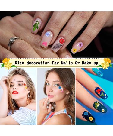 167 Pieces Colorful Real Dried Pressed Flowers for DIY Crafts - Natural Dry Daisy, Leaves, and Mixed Floral Decorations for Candle, Resin, Nails, Jewelry, and Art - Buy Online on GoSupps.com