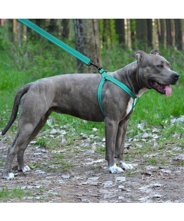 Collardirect Adjustable Reflective Dog Harness - Sizes S M L | Outdoor Walking Gear for Dogs & Puppies in Pink Black Red Purple Mint Green Orange Blue - Buy Online on GoSupps.com