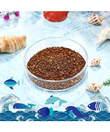 Patelai 3 Piece Glass Aquarium Shrimp Feeding Dish Set - Buy Online on GoSupps.com