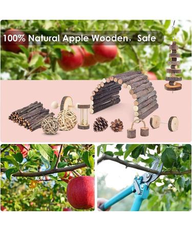 ERKOON Small Animal Chew Toys - Natural Wooden Accessories for Hamsters, Guinea Pigs, Gerbils, Rats, Chinchillas - Boredom Breaker, Teeth Molar Exercise - Play Bridge, Roller, Dumbbells - Buy Online on GoSupps.com