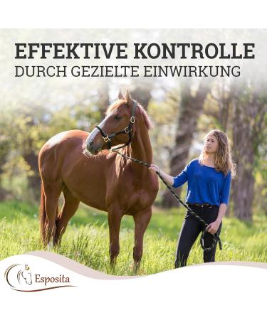 Esposita Seilhafter Ranch Halfter for Horses | Leather & Rope Halter with Brass Fittings | Ideal for Riding & Hiking | Size COB/VB | Black - Buy Online on GoSupps.com