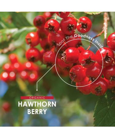 Organic Hawthorn Berry 1000mg - 120 Vegan Capsules | Pure Non-GMO Gluten-Free Halal Certified Organic - Shop Now! - Buy Online on GoSupps.com