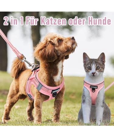 Buy Pink Padded Dog Harness for Small Dogs - Comfortable & Stylish Puppy Harness - Buy Online on GoSupps.com