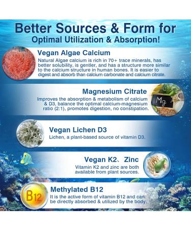 6-in-1 Plant Based Calcium Supplements for Women Men- Calcium 600mg w/ D3 K2 5000 IU Vitamin, Liposomal & Algae Ca-lcium Magnesium Zinc + Vegan Vitamin D 5000 IU + K2 MK7 + Methyl B12 for Bone, 1 Pack 120 Count (Pack of 1) - Buy Online on GoSupps.com