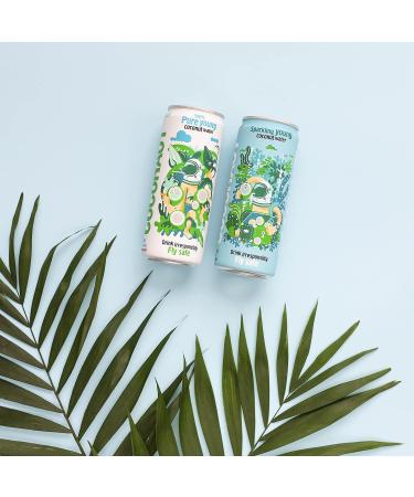 COCONAUT Coconut Water - 100% Young Coconut Refreshment in Various Varieties (12 x 320 ml) - Buy Online on GoSupps.com