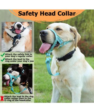 Barkeless Dog Handlebars | Reflective No-Pull Training Device for Medium & Large Dogs - Includes Training Instructions (Turquoise) - Buy Online on GoSupps.com