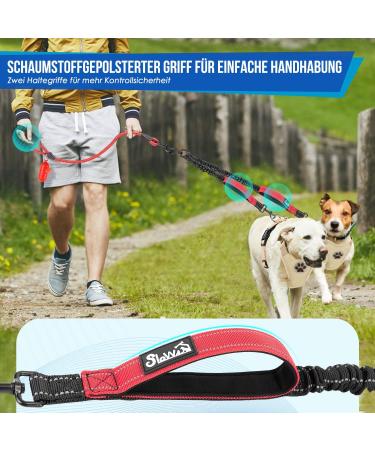 Eyein Double Dog Leash for 2 Small & Medium Dogs Flexible Reflective Tangle-Free with 2 Padded Handles for 3-16kg Dogs (Red) - Buy Online on GoSupps.com