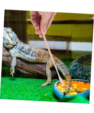 BESPORTBLE 6 Pcs Animal Feeding Pet Food Scoop Reptile Reptile Stainless Steel 19.20X1.30X0.20CMx3pcs Goldenx3pcs - Buy Online on GoSupps.com