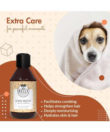 Buy Belly Vegan Dog Shampoo & Conditioner - 250ml | Guava & Cucumber - Long Hair & Odor Control for Dogs & Puppies - Buy Online on GoSupps.com