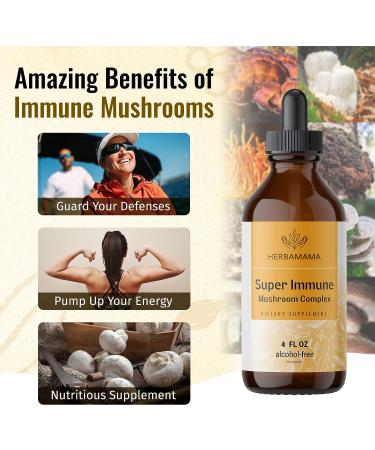 Super Immune Mushroom Complex Liquid Extract - 4 fl. Oz Vegan Tincture with Lions Mane, Reishi, Shiitake, Turkey Tail & Chaga - Immune Support & Energy Supplement - Buy Online on GoSupps.com
