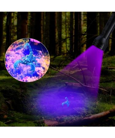 Retoo UV Black Light Flashlight | Spot Dried Stains & Detect Fake Currency | Ideal for Pets & Home Use - Buy Online on GoSupps.com