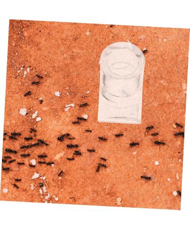 Balacoo 2pcs Ant Water Feeder ant Habitat Science ant Farm nest ant Castle ant Farming Castle ant Colony - Buy Online on GoSupps.com