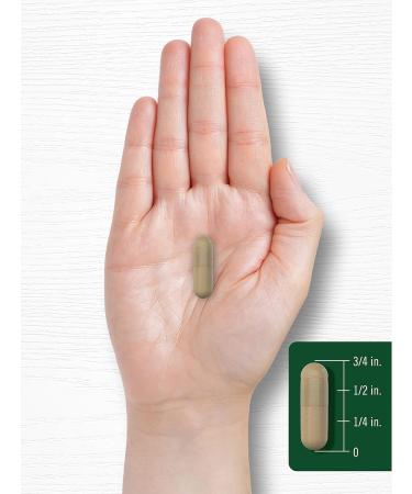 Carlyle Gotu Kola Capsules | 180 Count | Non-GMO Gluten Free | Traditional Herb Extract - Buy Online on GoSupps.com